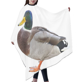 Personality  Wild Duck Hair Cutting Cape