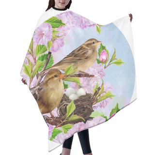 Personality  Two Sparrows On Near The Nest On The Background Of The Cherry Blossoms, Circle. Round Form. Hair Cutting Cape