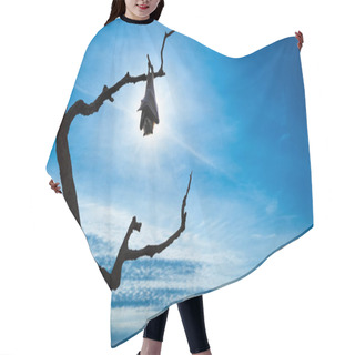 Personality  Bat Hanging On Tree Branch Over Blue Sky Hair Cutting Cape