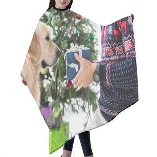 Personality  Cropped View Of Man In Christmas Sweater Giving Present To Golden Retriever Hair Cutting Cape