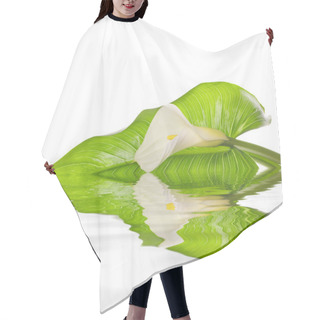 Personality  White Calla Lilies With Leaf Hair Cutting Cape