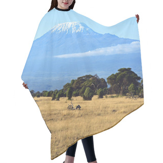 Personality  Panorama Of African Savannah Hair Cutting Cape