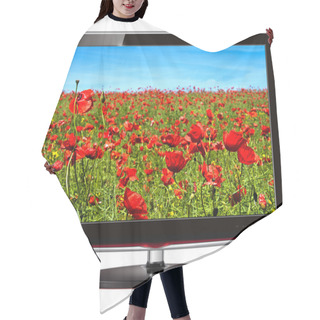 Personality  TV Flat Screen Lcd, Plasma With Wild Flowers On Screen. Hair Cutting Cape