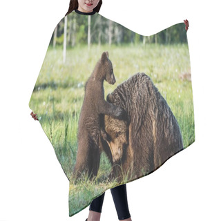 Personality  Bear Cubs Hide For A She-bear Hair Cutting Cape
