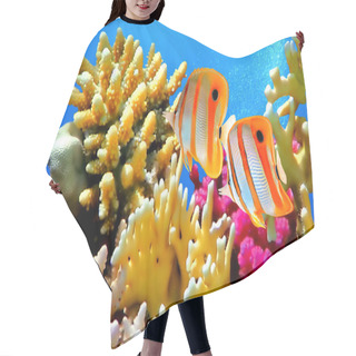 Personality  Coral Reef And Copperband Butterflyfish Hair Cutting Cape