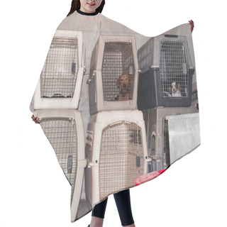 Personality  Dog Cages Hair Cutting Cape