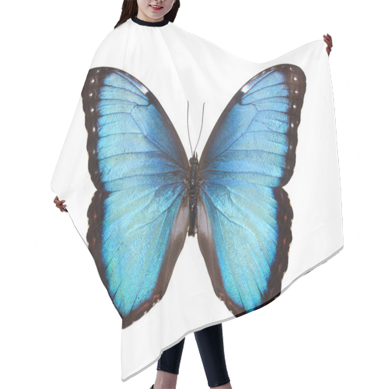 Personality  Butterfly Isolated On White Hair Cutting Cape