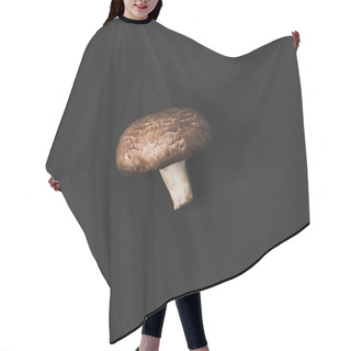 Personality  Top View Of Raw Champignon Mushroom Isolated On Black Hair Cutting Cape