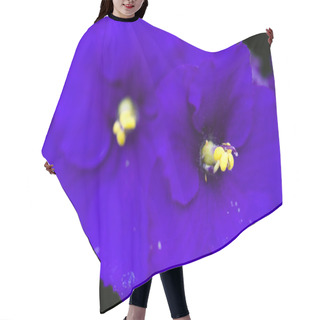 Personality  African Violet Hair Cutting Cape