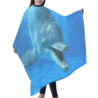 Personality  Bottlenose Dolphin, Tursiops Truncatus, Adult Calling   Hair Cutting Cape