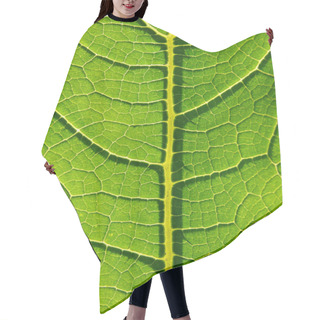 Personality  Leaf Hair Cutting Cape