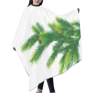 Personality  Close Up Of Fir Tree Branch Isolated Hair Cutting Cape