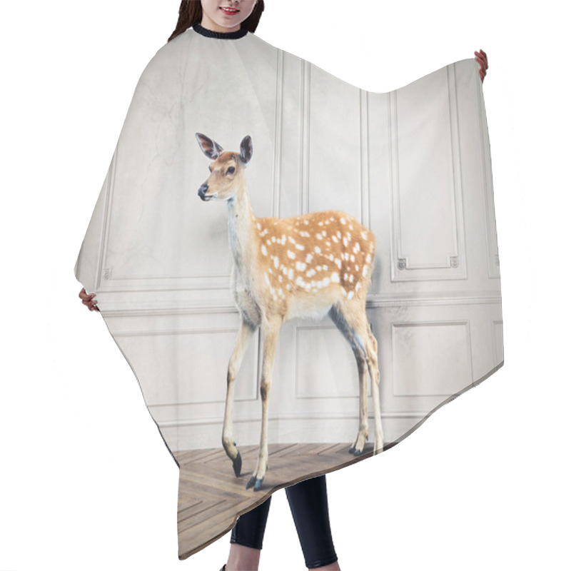 Personality  Deer In The Room Hair Cutting Cape