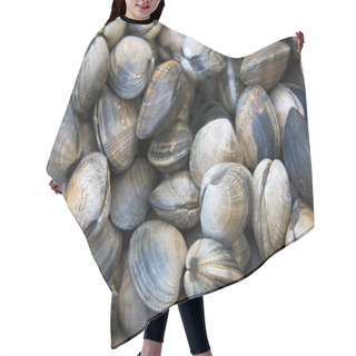 Personality  Clam Shell Background Hair Cutting Cape