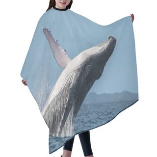 Personality  Humpback Whale Jumping Out Of The Water Hair Cutting Cape