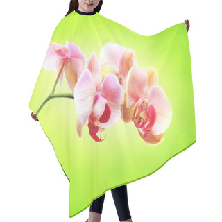 Personality  Beautiful Branch Of Orchids Flowers Hair Cutting Cape