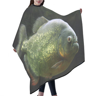 Personality  Wild Red-bellied Piranha Hair Cutting Cape