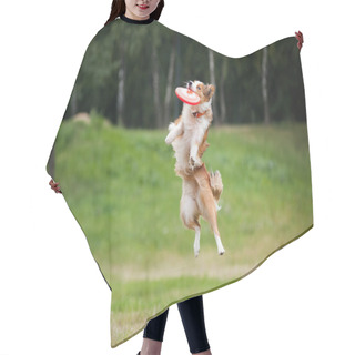 Personality  Frisbee Red Dog Catching Hair Cutting Cape