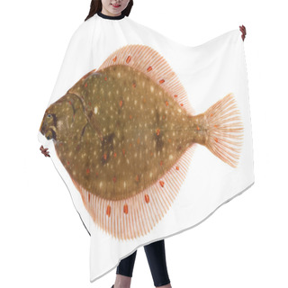 Personality  Plaice Fish Isolated Hair Cutting Cape