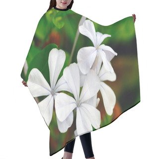 Personality  White Periwinkle Hair Cutting Cape