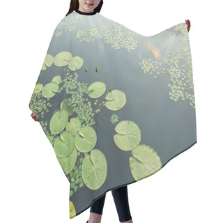 Personality  Water Surface With Plants Hair Cutting Cape