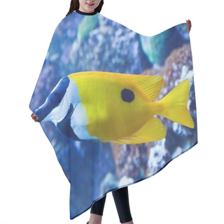 Personality  Tropical Fish Hair Cutting Cape