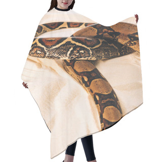 Personality  High Angle View On Pattern On Python Snakeskin On Sand Hair Cutting Cape