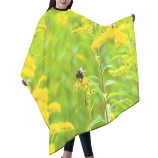 Personality  A Fresh Meadow Og Goldenrod With A Bumble Bee Pollinating The Flower  Hair Cutting Cape
