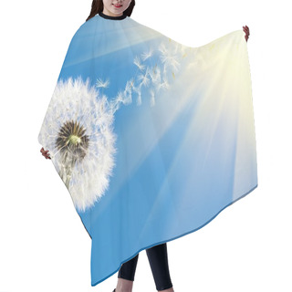 Personality  Dandelion In Sunlight Hair Cutting Cape
