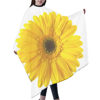 Personality  Yellow Daisy Flower Isolated Hair Cutting Cape