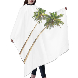 Personality  Coconut Palm Trees Hair Cutting Cape