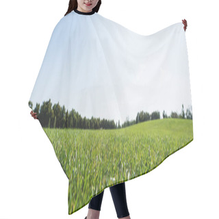 Personality  Panoramic Shot Of Green Grass Near Trees Against Sky In Park  Hair Cutting Cape