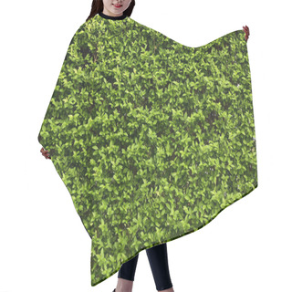 Personality  Green Leaves Hair Cutting Cape