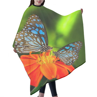 Personality  Blue Butterfly Hair Cutting Cape
