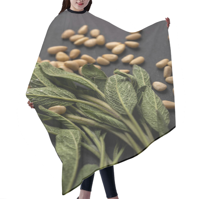 Personality  close up view of green sage and pine nuts on black background hair cutting cape