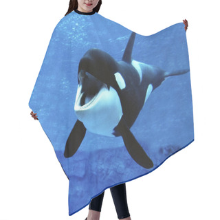 Personality  ORQUE EPAULARD Orcinus Orca Hair Cutting Cape