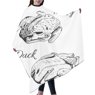 Personality  Sketch Of Turkey And Duck. Hair Cutting Cape