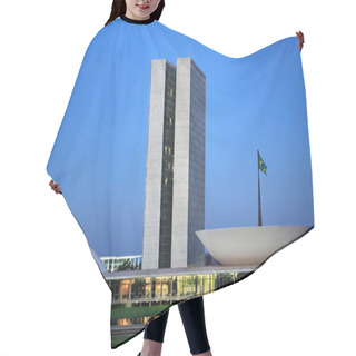 Personality  The National Congress Of Brazil. Hair Cutting Cape