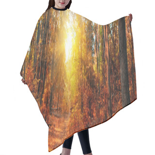 Personality  Autumn Forest Panorama Hair Cutting Cape