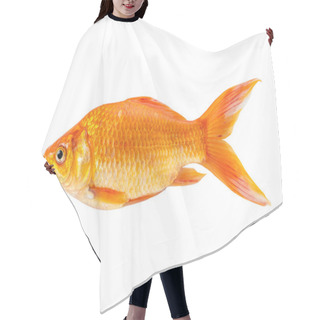 Personality  Gold Fish Isolated On A White Background. Hair Cutting Cape