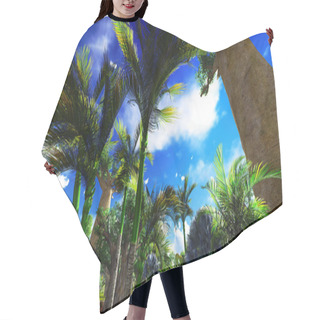 Personality  African Baobabs Hair Cutting Cape