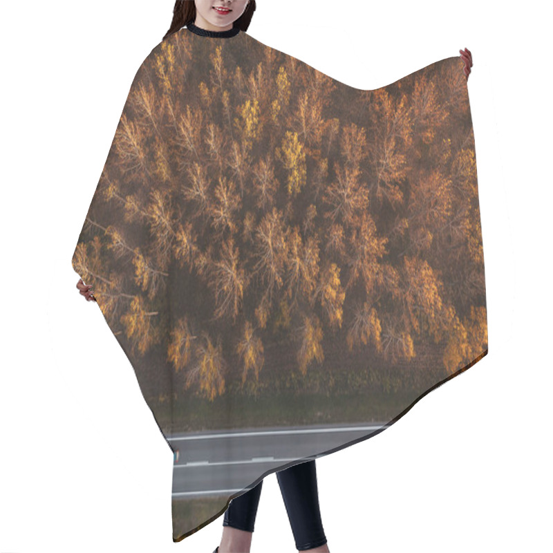 Personality  Traffic On The Road Through Autumnal Aspen Tree Forest Hair Cutting Cape