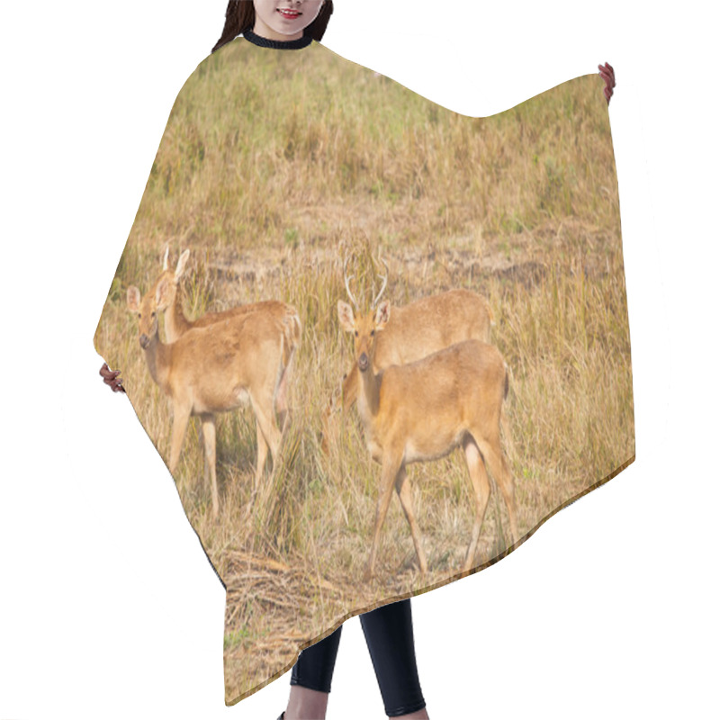 Personality  Swamp Deer Hair Cutting Cape