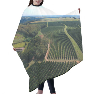 Personality  Aerial Drone View Of A Green Coffee Field In Brazil Hair Cutting Cape