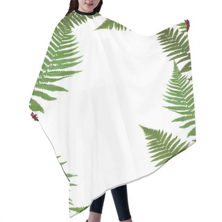 Personality  Fern Leaf Vector Background Illustration Hair Cutting Cape