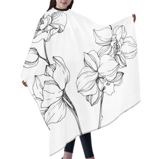 Personality  Beautiful Black And White Orchid Flowers Engraved Ink Art. Isolated Orchids Illustration Element On White Background. Hair Cutting Cape