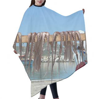 Personality  Drying Octopus At Sea-side Hair Cutting Cape