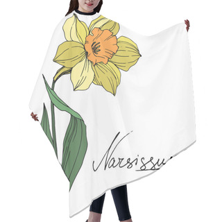 Personality  Vector Yellow Narcissus Floral Botanical Flower. Wild Spring Leaf Wildflower Isolated. Engraved Ink Art. Isolated Narcissus Illustration Element On White Background. Hair Cutting Cape