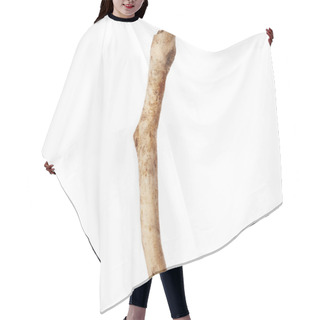 Personality  Tree Stick  Hair Cutting Cape
