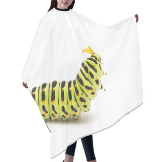 Personality  Swallowtail Caterpillar Or Papilio Machaon On A White Background Hair Cutting Cape